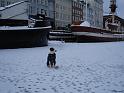 01 DSC05833